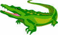 click on this hungry gator to visit us online